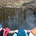 phoca_thumb_m_maena 51 Fotogalerie